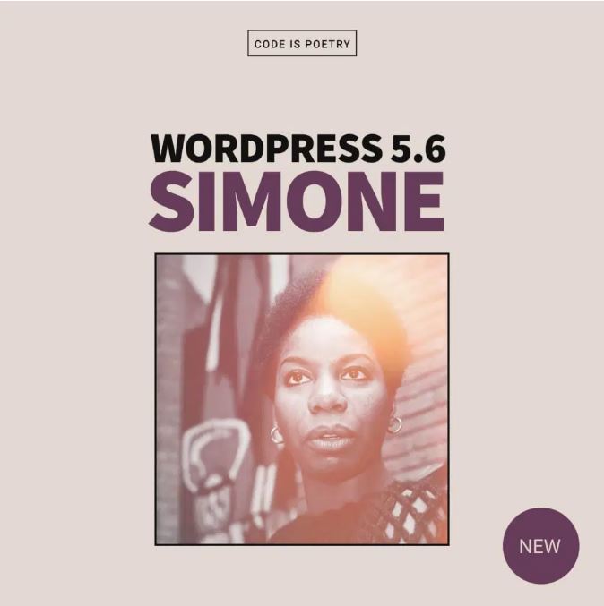 Wordpress Update 5.6