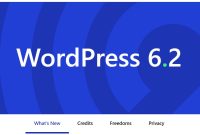 Wordpress Update