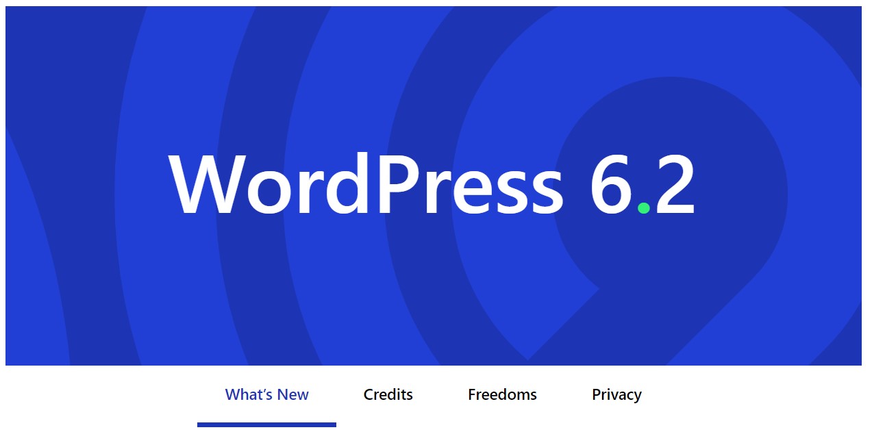 Wordpress Update